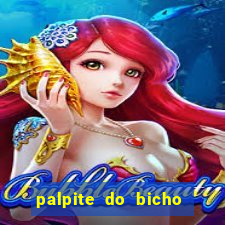 palpite do bicho deu no poste